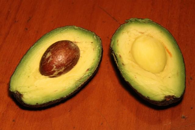 avocat