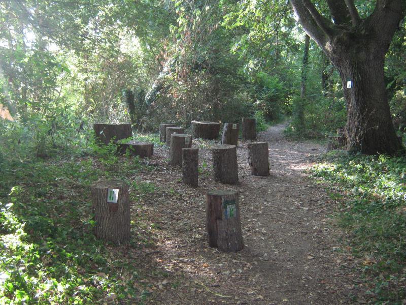 Descente de la Loire