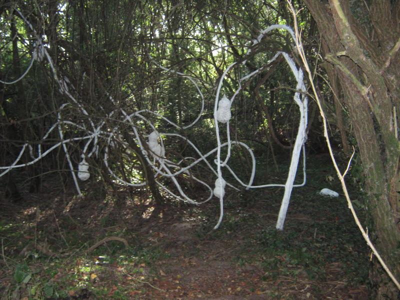 Descente de la Loire