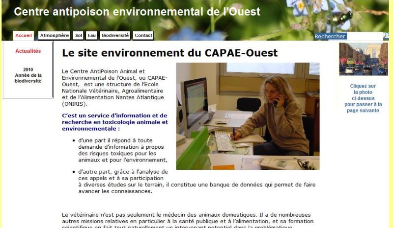 Environnement