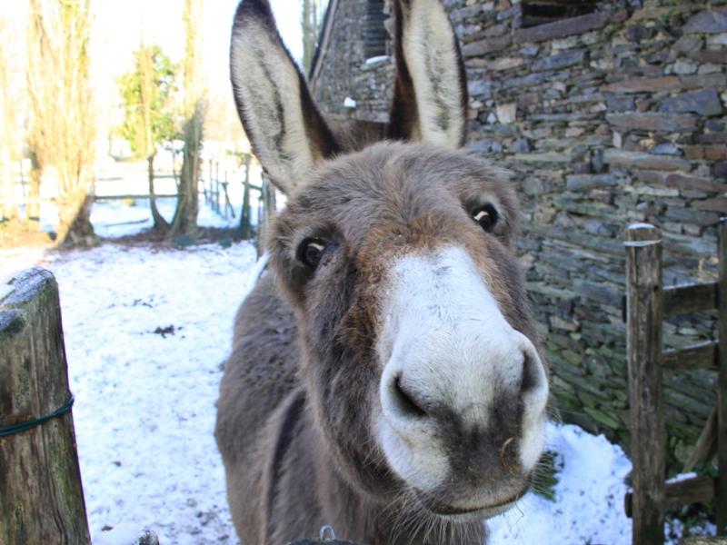 Bienvenue sur le site