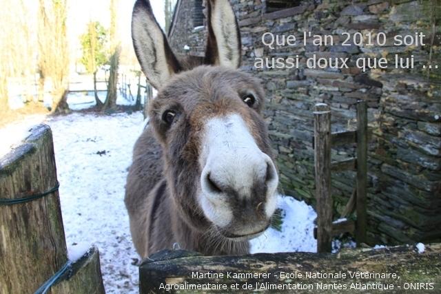 Bienvenue sur le site