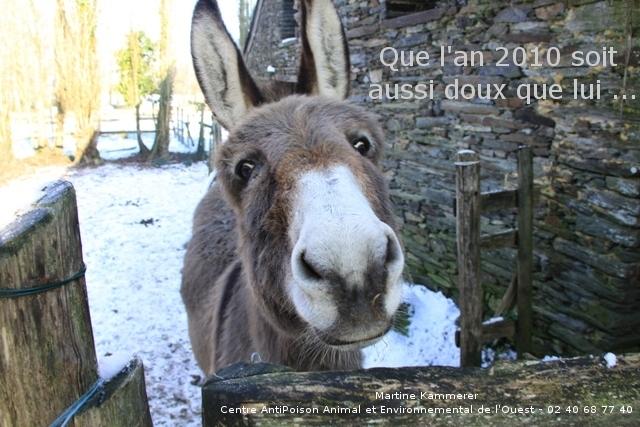 Bienvenue sur le site