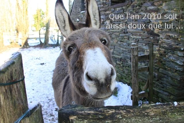 Bienvenue sur le site